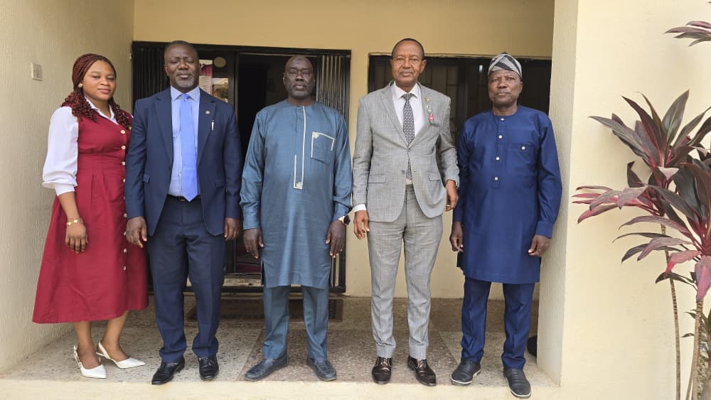 whatsapp image 2026 01 21 at 03.53.33