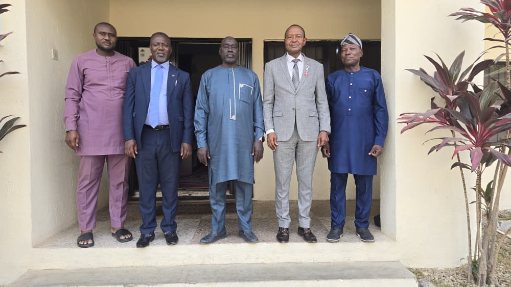 whatsapp image 2026 01 21 at 03.53.33p