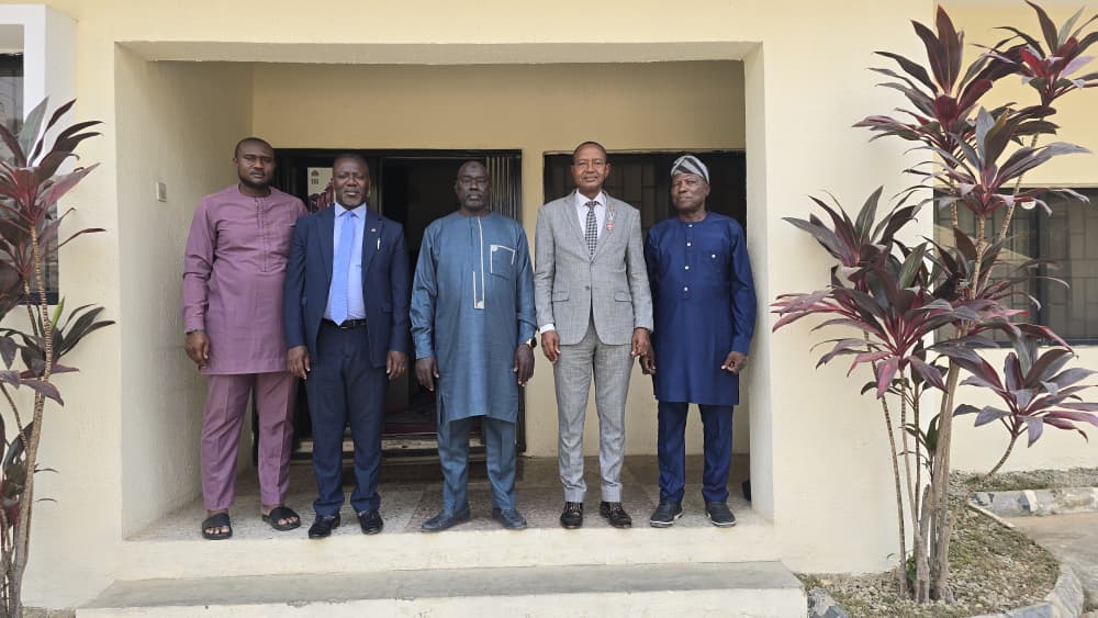 whatsapp image 2026 01 21 at 03.53.35