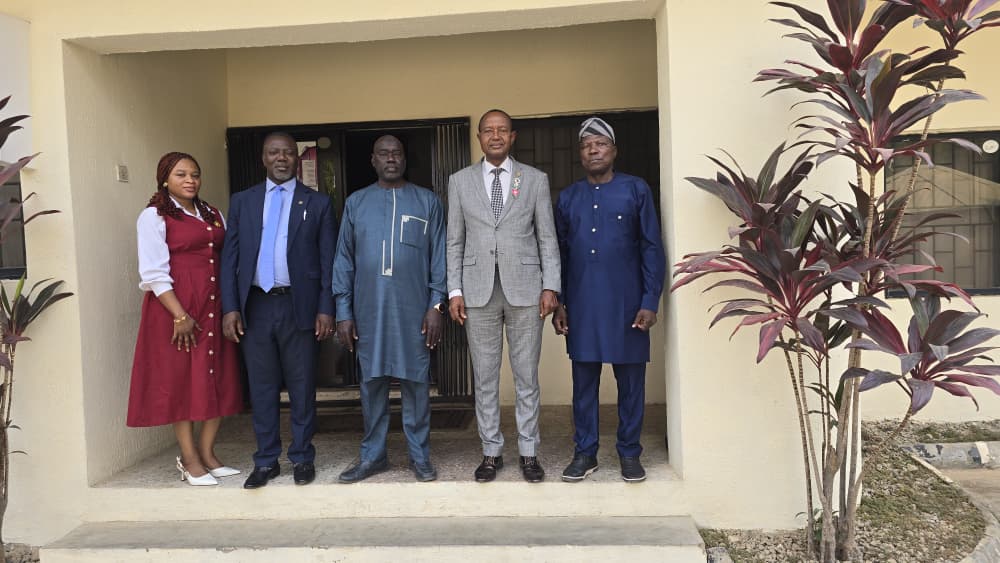 whatsapp image 2026 01 21 at 03.53.35k