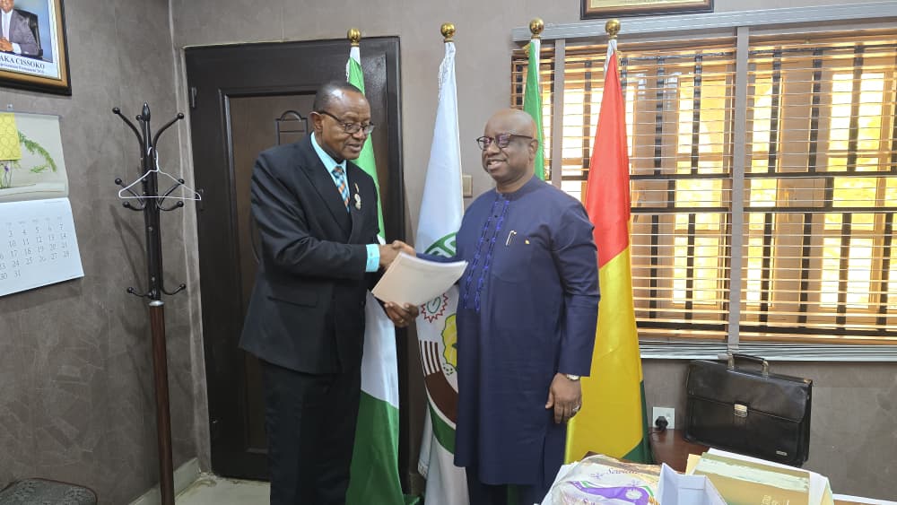 whatsapp image 2026 03 09 at 11.50.44