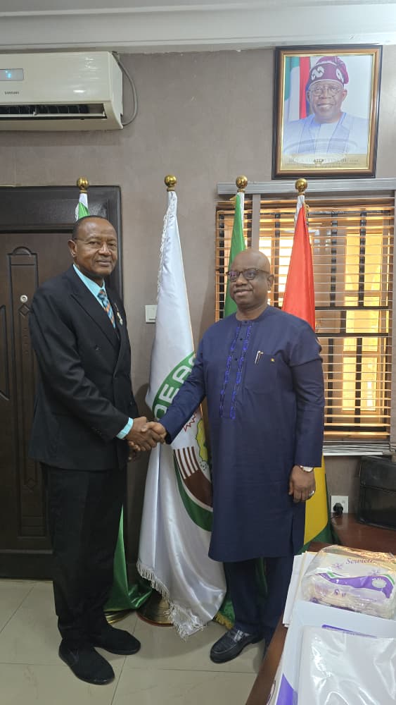 whatsapp image 2026 03 09 at 11.50.46h